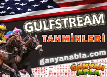 20 Ocak 2024 Cumartesi Gulfstream Park ABD 2.Altılı Ganyan Tahminlerim