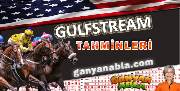20 Ocak 2024 Cumartesi Gulfstream Park ABD 2.Altılı Ganyan Tahminlerim