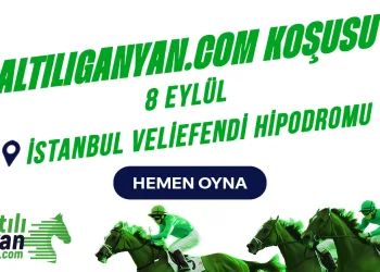 Yarış Festivalinde altiliganyan.com Heyecanı
