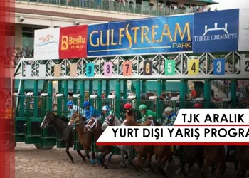 Aralık Ayı TJK Yurtdışı Yarış Programı