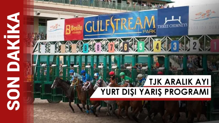 Aralık Ayı TJK Yurtdışı Yarış Programı